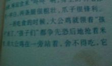 [PK赛]关于动物的作文：我的小鸡_350字