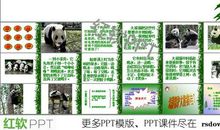 我最喜欢的动物_500字