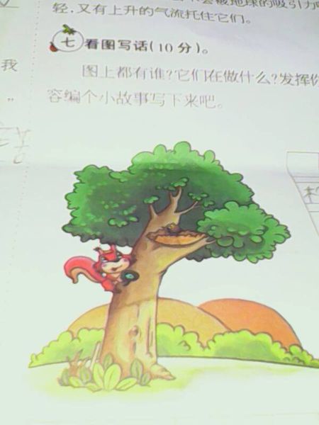 四年级图片组成：破花盆_350字