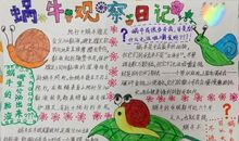 观察日记——蜗牛_350字