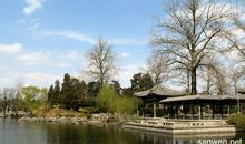 我的家乡_1200字