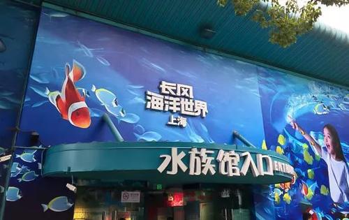 幻想动物城_2000个单词
