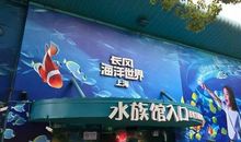 梦幻动物之城_2000字