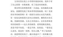 四年级看图作文：阳光下，让爱飞翔_1000字