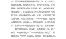 四年级看图作文：小小摄影师_600字