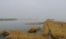 春游衡水湖_900字