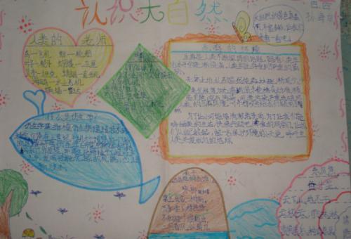 动物是人类老师_550字