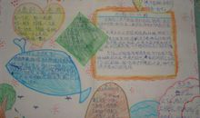 动物是人类的老师_550字