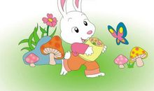 小白兔采蘑菇_300字