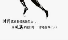 在逆境中生存的动物_1200字