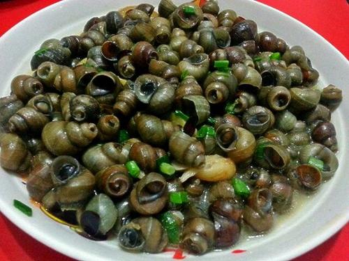Snail_450字