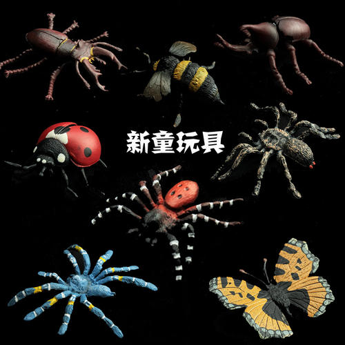 我最喜欢的animal-bee_600个单词