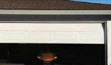 2008年浙江丽水卷中考作文：想飞就能飞起来