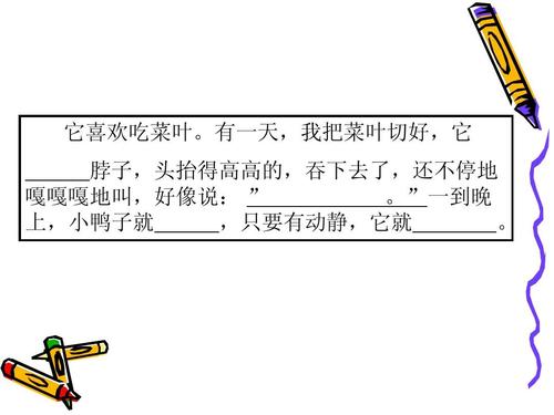 流浪狗_小动物护理_1500个单词