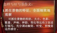 初三写景作文：春花_650字