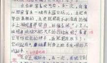 四年级看图作文：震撼人心的图片及感受_350字