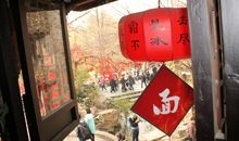 我的漫游之旅 （祁馨）_250字