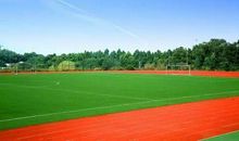 热闹的操场（李桐波）_300字