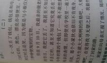 关于母爱的作文：挚爱_900字