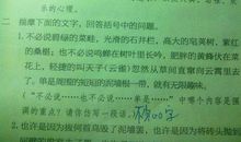 关于桥的作文：游苏通大桥_700字