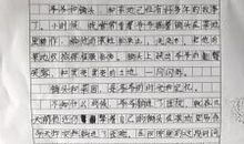 单元作文：民风民俗_650字