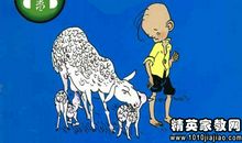 二年级观后感：《三毛流浪记》观后感_450字