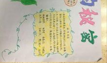 二年级观后感：《宝葫芦的秘密》_350字