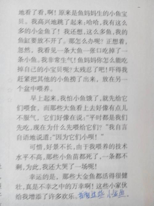 关于战争的构图：抗战精神将永远持续_3000字