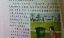 给台湾小朋友的一封信 _350字