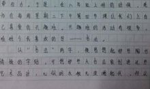 2019年四川遂宁中考满分作文：这也是一种美好_900字