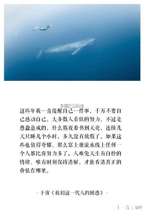 理想三天_800字