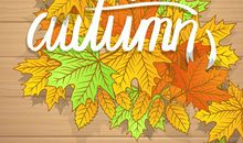 [2016期末征文]秋天的树叶_650字