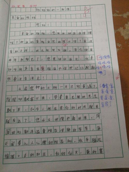 给爸爸妈妈的信_1200字