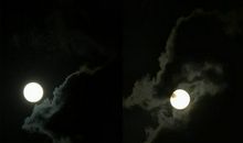 月亮上的玉兔_750字