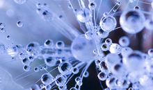 难忘的十岁生日_400字