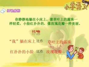 关于生活的构图：生活感动_1200字