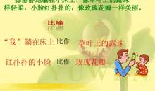 关于生命的作文：生命的感动_1200字