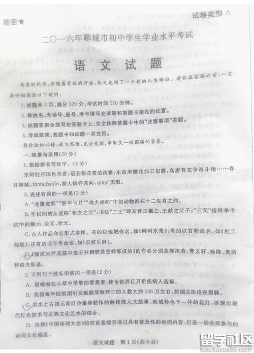 2019山东聊城高中高考满分作文：做你自己（2）_800字