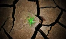 关于生命的作文：生命的一道光_1200字