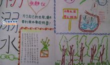 关于生命的作文：珍爱生命，远离网络_550字