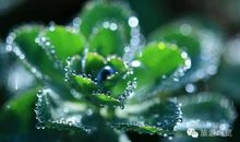 生命的源泉_1200字