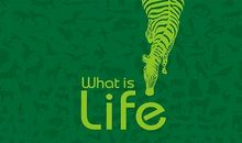 生命是什么？_900字