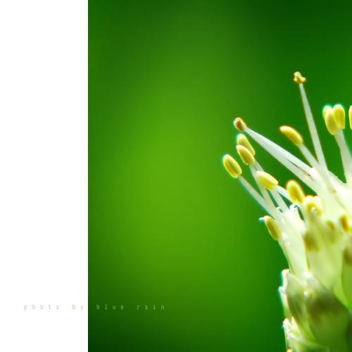 Life_550字