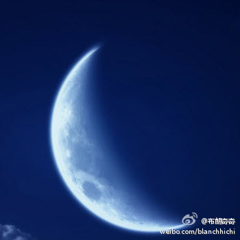 生命是一种神秘的力量_400字