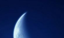 生命是一种神秘的力量_400字