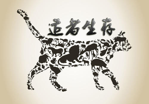 让生活令人兴奋！ _800字