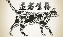 让生命精彩起来！_800字