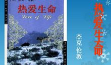 《热爱生命》读后感（2）_1500字