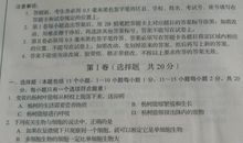 2015山东淄博中考满分作文：有那么一棵树_1200字