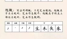 写作基础：谈谈“写作与积累”_1500字